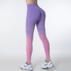 Legging SeamlessGradientTightPantsGorgeousFeather49210692 Legging | Seamless Gradient Tight Pants Gorgeous Feather