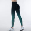 Legging SeamlessGradientTightPantsGorgeousFeather49210952 Legging | Seamless Gradient Tight Pants Gorgeous Feather