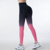 Legging SeamlessGradientTightPantsGorgeousFeather49211032 Legging | Seamless Gradient Tight Pants Gorgeous Feather