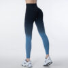 Legging SeamlessGradientTightPantsGorgeousFeather49211169 Legging | Seamless Gradient Tight Pants Gorgeous Feather