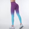 Legging SeamlessGradientTightPantsGorgeousFeather49211279 Legging | Seamless Gradient Tight Pants Gorgeous Feather