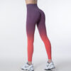 Legging SeamlessGradientTightPantsGorgeousFeather49211331 Legging | Seamless Gradient Tight Pants Gorgeous Feather