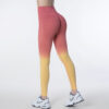 Legging SeamlessGradientTightPantsGorgeousFeather49211495 Legging | Seamless Gradient Tight Pants Gorgeous Feather