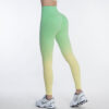 Legging SeamlessGradientTightPantsGorgeousFeather49211529 Legging | Seamless Gradient Tight Pants Gorgeous Feather