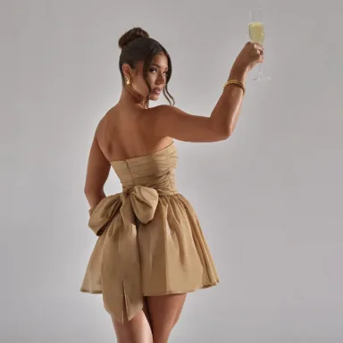 Strapless Bow-Back Mesh Mini Dress